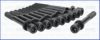 RENAU 7700853324X10 Bolt Kit, cylinder head